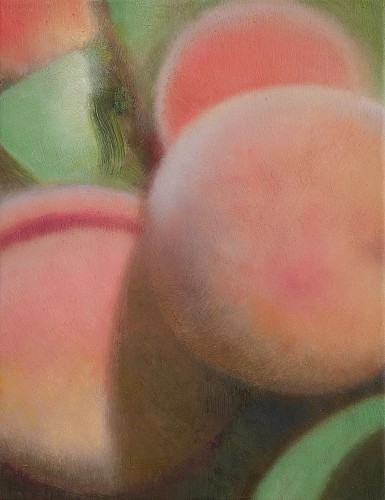 Lorenz Spring| Reife Früchte I (Pfirsiche), 2017 |Oel auf Leinwand, 35 x 27 cm | Ref. 5570