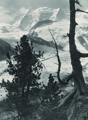 Albert Steiner | Piz Palü, ca. 1930 | Silbergelatineabzug, 23,5 x 17,3 cm | Ref. U. 485