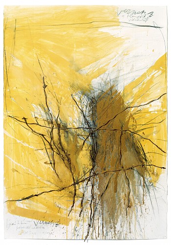 Rolf Iseli| Vernetzt St. Romain, 2016| Erde, Pulverfarbe, Kohle, Stacheldraht auf Papier, 100 x 70 cm|Ref. 181/RI