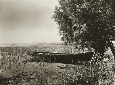 Bodensee (Untersee), Charakteristische Uferlandschaft Nähe Berlingen, um 1930|Silbergelatine|17,4 x 23,3 cm|Ref. U. 589