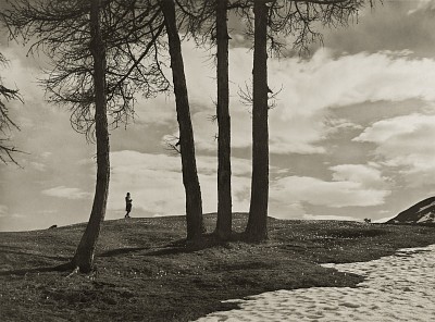 Erster Frühling in den Bergen, um 1930|Silbergelatine|17,4 x 23,3 cm|Ref. U. 582