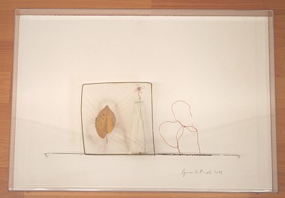 Quadrifoglio, 2012 | Eisendraht, Papier, Pastell, Blatt | 35,5 x 51 x 6 cm | Ref. 1731