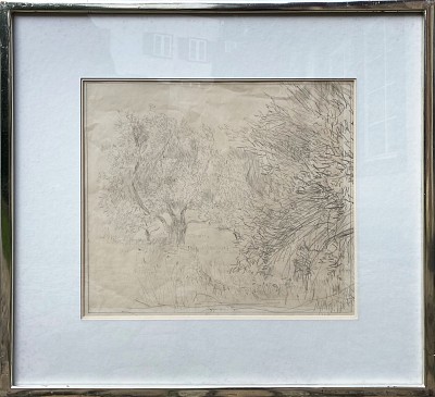 Olivenbäume, Collioure, 1928 | Bleistift auf Papier | 29 x 33 cm | Ref. 1/BOD